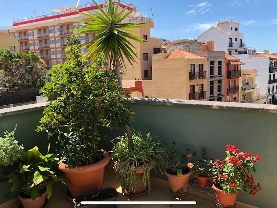 City Center Studio Penthouse Near The Beach Puerto de la Cruz  Apartment Puerto de la Cruz (Tenerife)